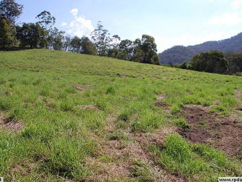 Photo - Lot 1- 206 Upper Buckrabendinni Road, Buckra Bendinni NSW 2449 - Image 8