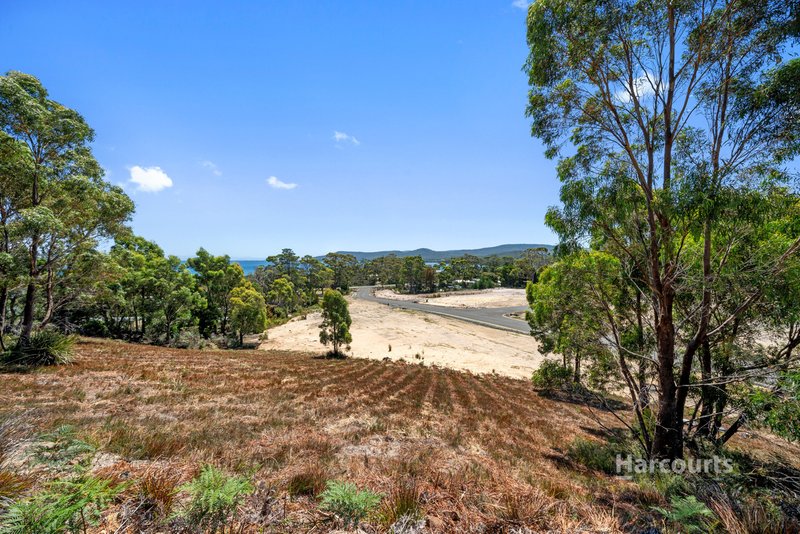 Photo - Lot 1-22 227 White Beach Road, White Beach TAS 7184 - Image 15