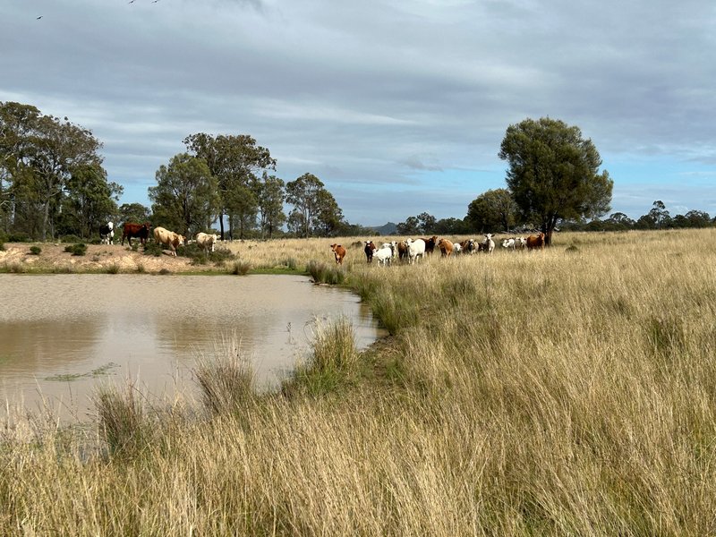 Lot 1 & 3 Kampfs Road, Goombungee QLD 4354