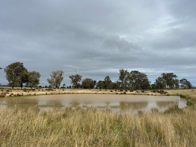 Photo - Lot 1 & 3 Kampfs Road, Goombungee QLD 4354 - Image 3