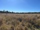 Photo - Lot 1 & 3 Kampfs Road, Goombungee QLD 4354 - Image 23