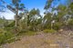 Photo - Lot 1 & 3 Scotts Road, Kingston TAS 7050 - Image 2