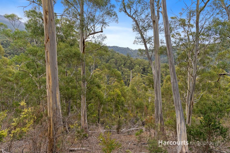 Photo - Lot 1 & 3 Scotts Road, Kingston TAS 7050 - Image 7