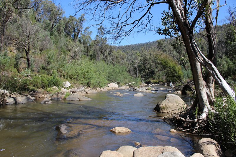 Photo - Lot 1-3 Tumbarumba Creek Road, Tooma NSW 2642 - Image 2