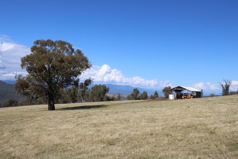 Photo - Lot 1-3 Tumbarumba Creek Road, Tooma NSW 2642 - Image 4