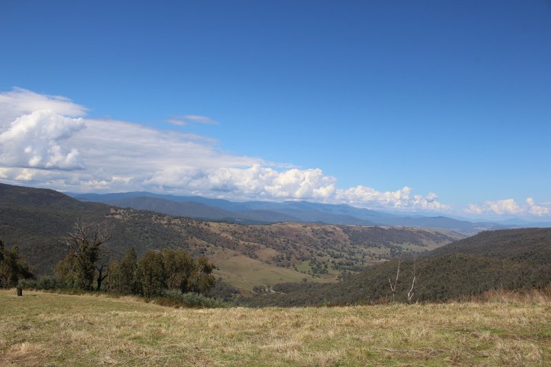 Photo - Lot 1-3 Tumbarumba Creek Road, Tooma NSW 2642 - Image 5