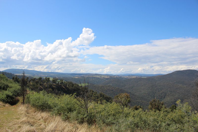 Photo - Lot 1-3 Tumbarumba Creek Road, Tooma NSW 2642 - Image 6