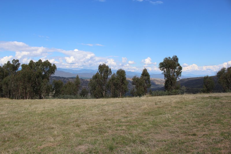 Photo - Lot 1-3 Tumbarumba Creek Road, Tooma NSW 2642 - Image 9