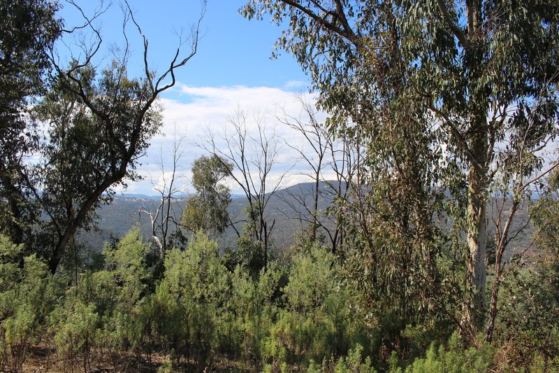 Photo - Lot 1-3 Tumbarumba Creek Road, Tooma NSW 2642 - Image 11