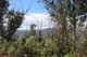 Photo - Lot 1-3 Tumbarumba Creek Road, Tooma NSW 2642 - Image 11