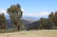 Photo - Lot 1-3 Tumbarumba Creek Road, Tooma NSW 2642 - Image 14