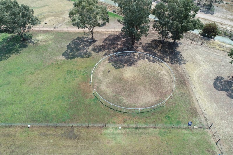 Photo - Lot 1, 336 Petersham Road, Leeton NSW 2705 - Image 19