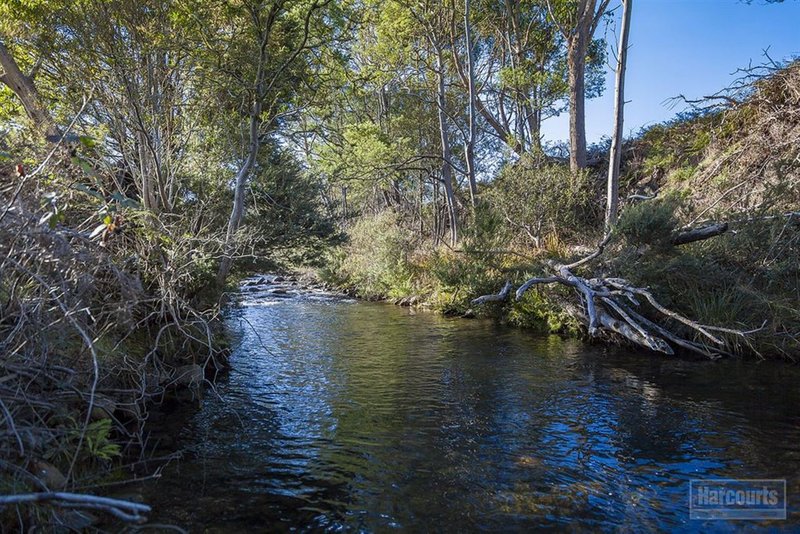 Photo - Lot 1, 47 Sawyers Creek Road, Mountain River TAS 7109 - Image 7