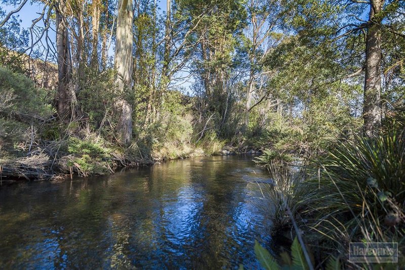 Photo - Lot 1, 47 Sawyers Creek Road, Mountain River TAS 7109 - Image 12