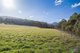 Photo - Lot 1, 47 Sawyers Creek Road, Mountain River TAS 7109 - Image 13