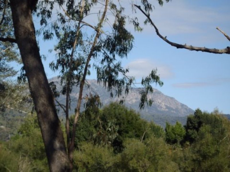 Lot 1 6932 Great Alpine Rd , Porepunkah VIC 3740