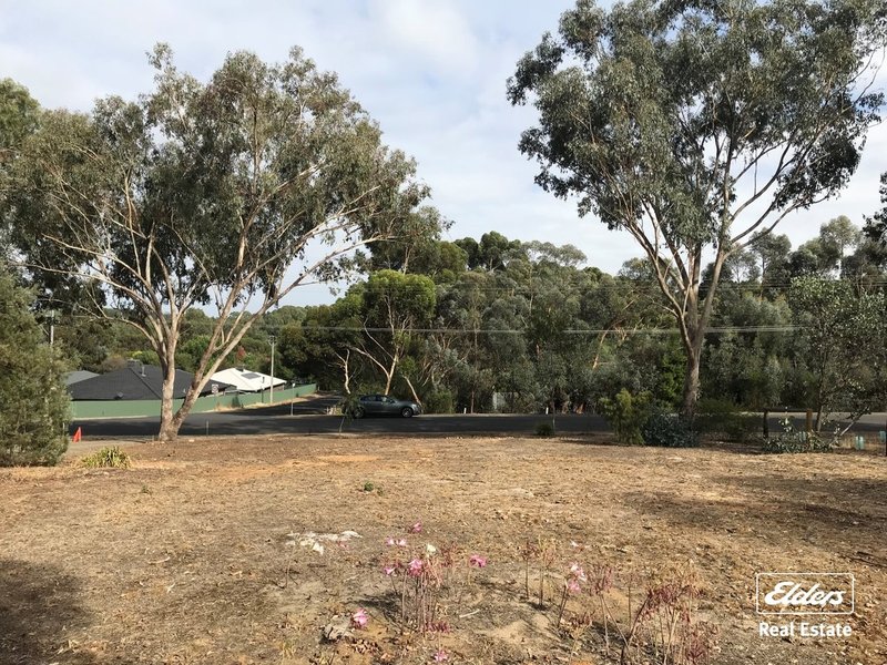 Photo - Lot 1 Adams Road, Williamstown SA 5351 - Image 2