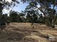 Photo - Lot 1 Adams Road, Williamstown SA 5351 - Image 3