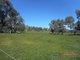 Photo - Lot 1 Adams Street, Brungle NSW 2722 - Image 1