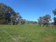 Photo - Lot 1 Adams Street, Brungle NSW 2722 - Image 4