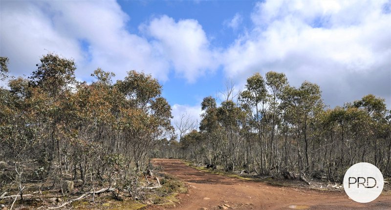 Photo - Lot 1 Alma Tier Road, Interlaken TAS 7030 - Image 18