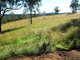 Photo - Lot 1 Almond Road, Blackbutt QLD 4306 - Image 13