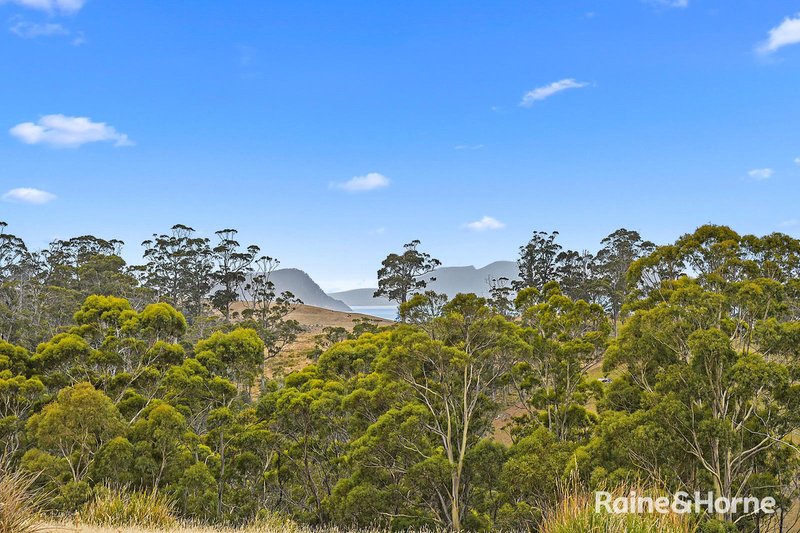 Photo - Lot 1 Arthur Highway, Copping TAS 7174 - Image 5