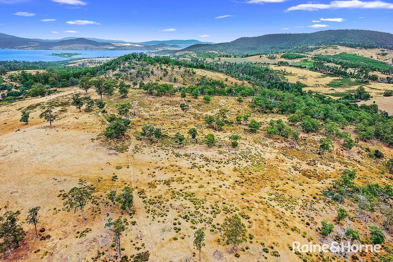 Photo - Lot 1 Arthur Highway, Copping TAS 7174 - Image 6