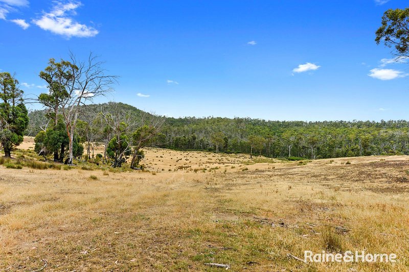 Photo - Lot 1 Arthur Highway, Copping TAS 7174 - Image 7