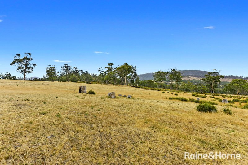 Photo - Lot 1 Arthur Highway, Copping TAS 7174 - Image 10