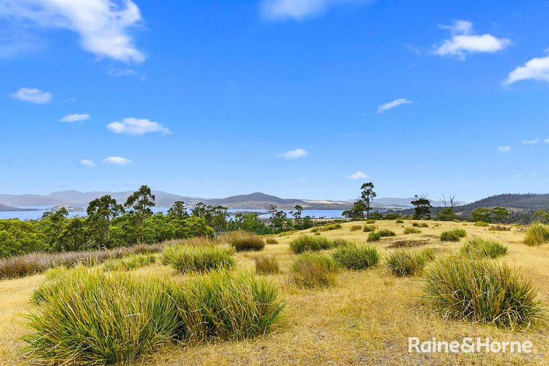 Photo - Lot 1 Arthur Highway, Copping TAS 7174 - Image 11