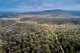 Photo - Lot 1 Back Creek Road, Pipers River TAS 7252 - Image 4