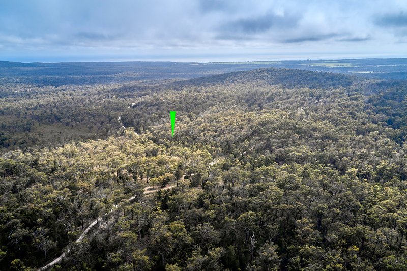 Photo - Lot 1 Back Creek Road, Pipers River TAS 7252 - Image 5