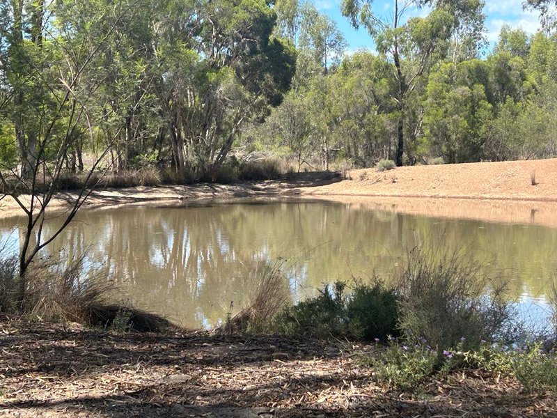 Lot 1 Bambling Road, Brush Creek QLD 4387