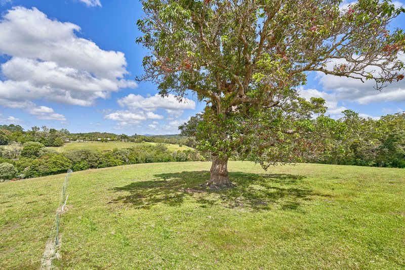 Photo - Lot 1 Barnwell Road, Kuranda QLD 4881 - Image 3