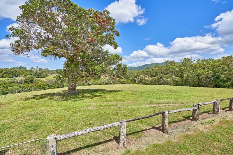 Photo - Lot 1 Barnwell Road, Kuranda QLD 4881 - Image 17