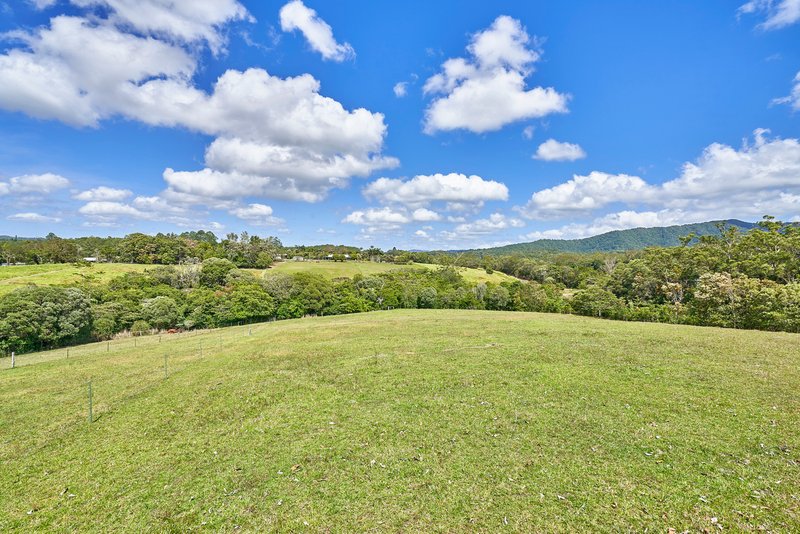 Photo - Lot 1 Barnwell Road, Kuranda QLD 4881 - Image 18