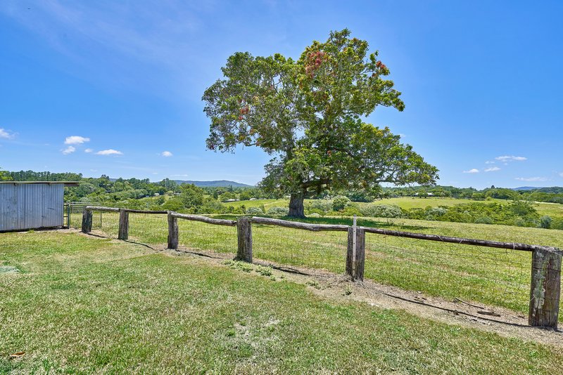 Photo - Lot 1 Barnwell Road, Kuranda QLD 4881 - Image 20