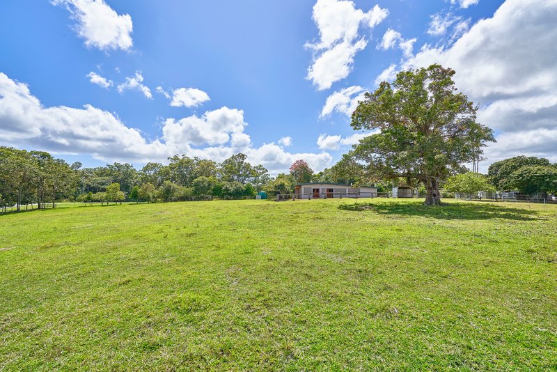 Photo - Lot 1 Barnwell Road, Kuranda QLD 4881 - Image 21