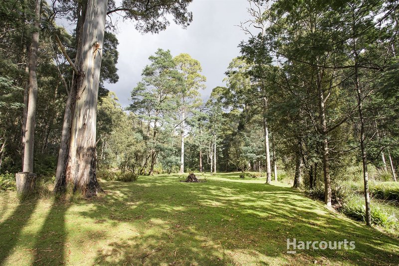 Photo - Lot 1 Bienefelts Road, Turners Beach TAS 7315 - Image 5