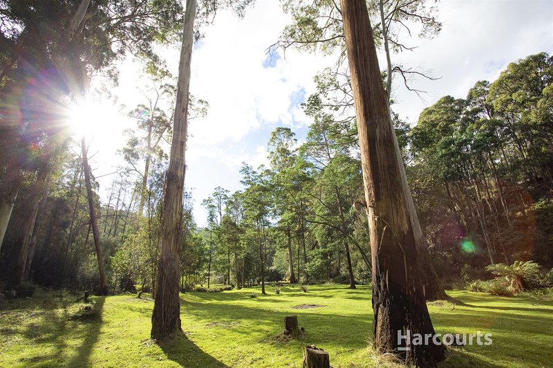 Photo - Lot 1 Bienefelts Road, Turners Beach TAS 7315 - Image 11