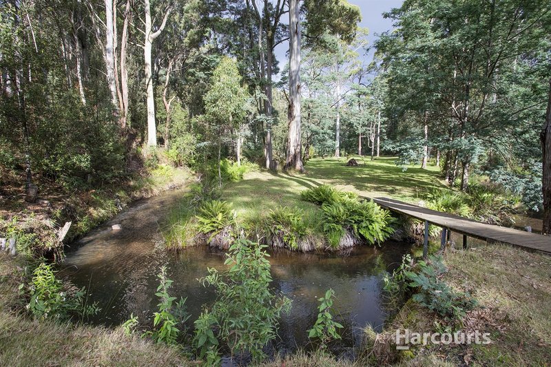 Photo - Lot 1 Bienefelts Road, Turners Beach TAS 7315 - Image 13