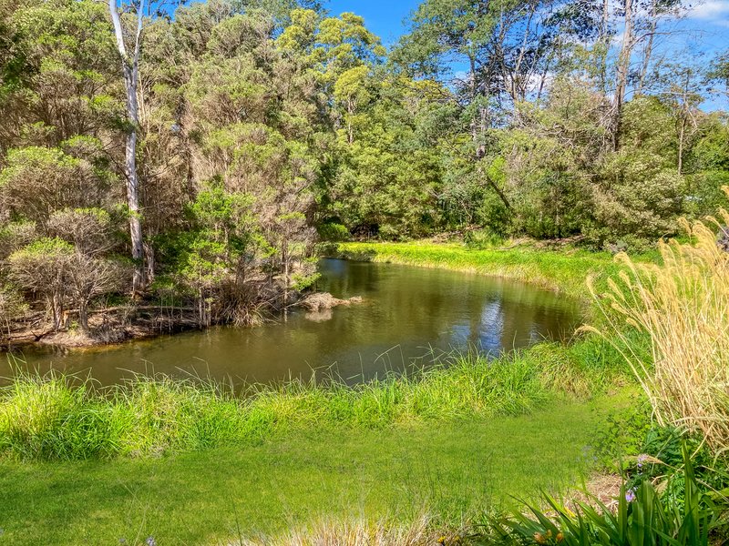 Photo - Lot 1, Binalong Bay Road, St Helens TAS 7216 - Image 4