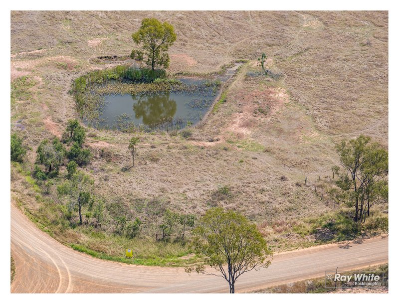 Photo - Lot 1 Bond Road, Alton Downs QLD 4702 - Image 6