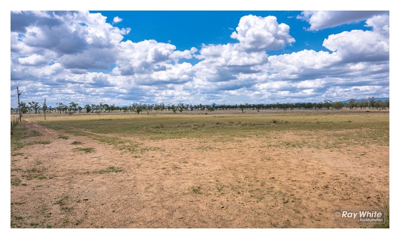 Photo - Lot 1 Bond Road, Alton Downs QLD 4702 - Image 7