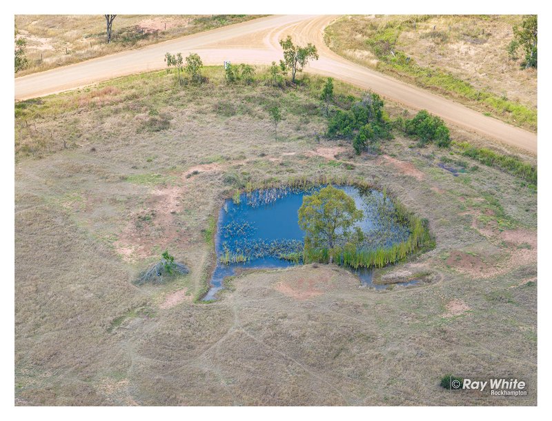 Photo - Lot 1 Bond Road, Alton Downs QLD 4702 - Image 12