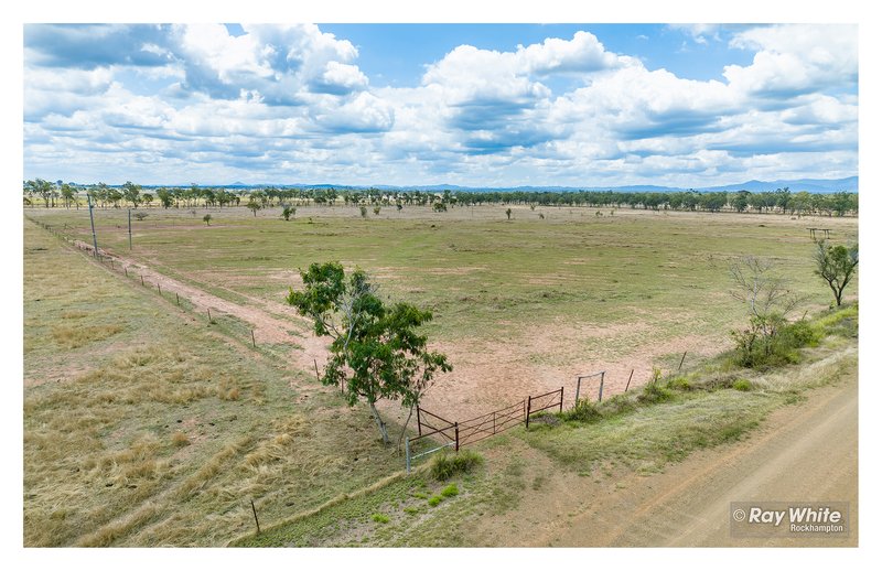 Photo - Lot 1 Bond Road, Alton Downs QLD 4702 - Image 13