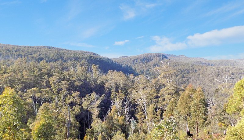 Lot 1 Braslins Road, Black Hills TAS 7140