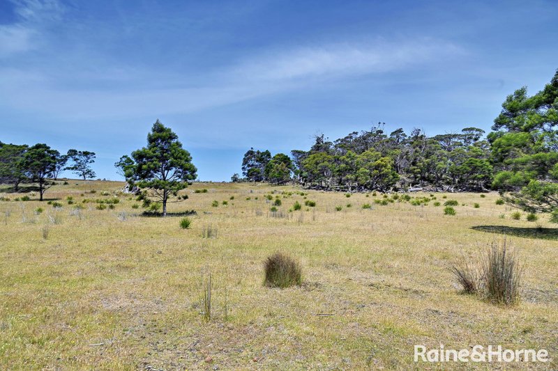 Lot 1 Bresnehans Road, Little Swanport TAS 7190