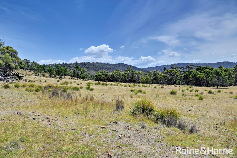 Photo - Lot 1 Bresnehans Road, Little Swanport TAS 7190 - Image 3